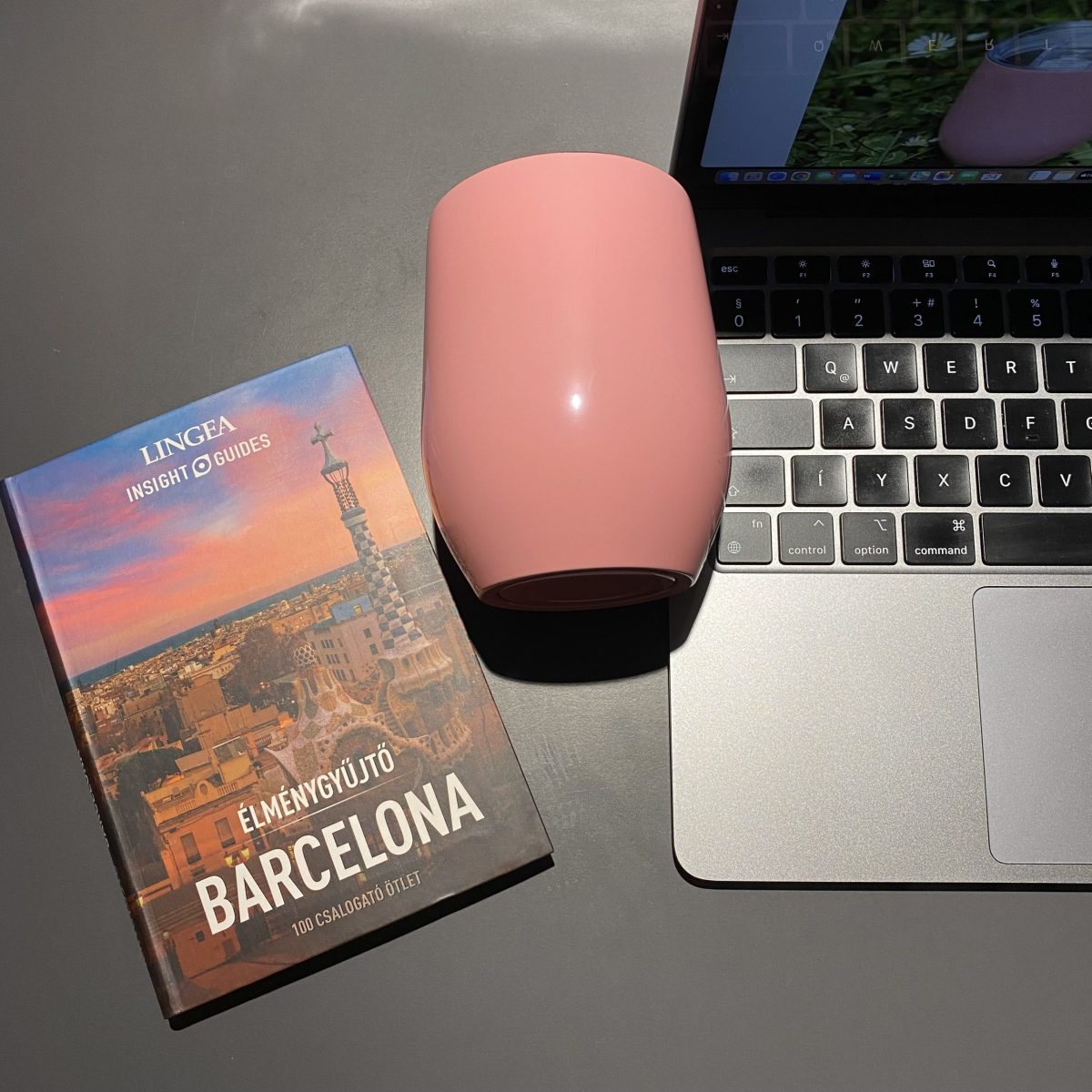 B_e_rozsaszin_iroasztal